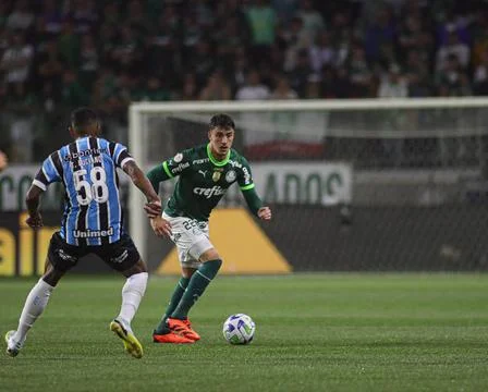 Campeonato Brasileiro 2023 - Palmeiras vs Gremio Joaquin Piquerez do Palme... Stock Photos