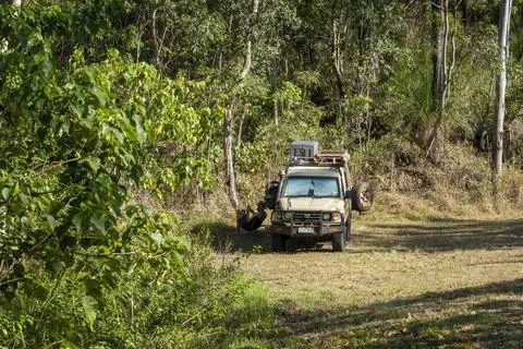 A Camper In A Forest: Stock Photos
