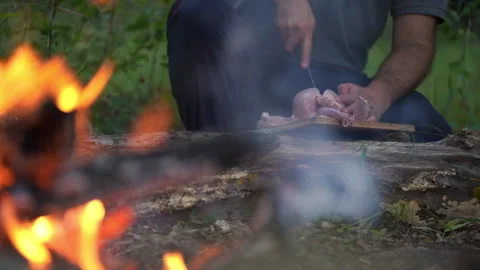 Camper Preparing Chicken by the Campfire Stock Footage 313283244