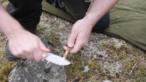Camper Preparing Kindling on Mossy Forest Ground Video stock 334048440
