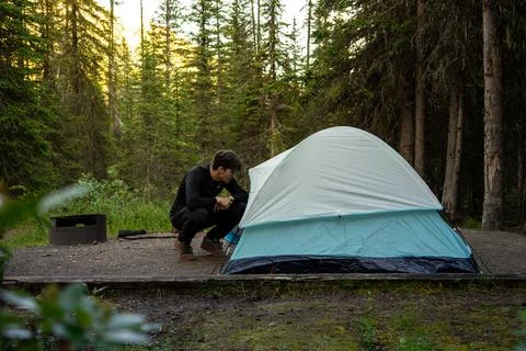 A camper sets up a tent in a forest clearing on a summer afternoon. Stock Photos