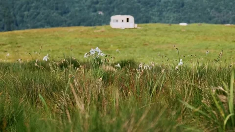 Camper van on alpine meadow vertical shot freedom and travel lifestyle Stock Footage 336132202