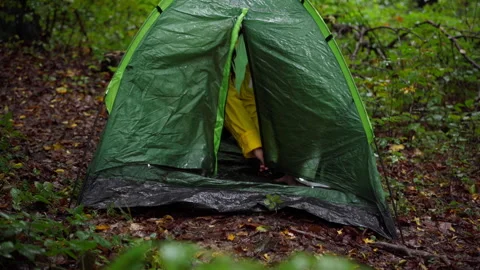 Campers explore rain, two explorers brave wet woods under stormy skies Stock Footage 325560847