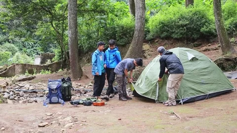 Campers preparing sleeping area after pitching tent Stock Footage 327290080