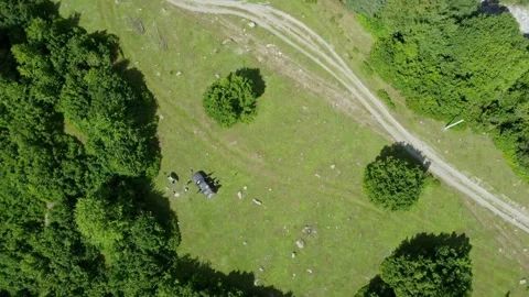 Campers setting up camp next to forest and dirt road Stock Footage 301233166