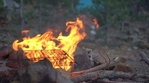 Campfie in the forest Video stock 94712374