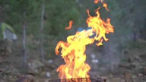 Campfie in the forest Stock Footage 94712724