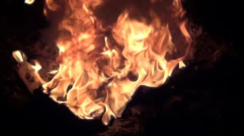 Campfire 1.mp4 库存影片 12556785
