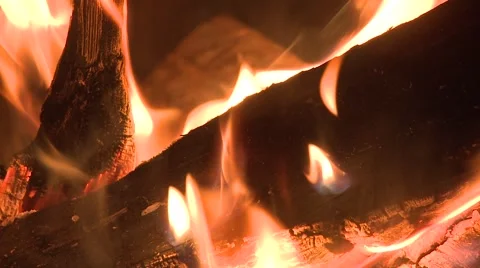 Campfire 3 動画素材 6968043