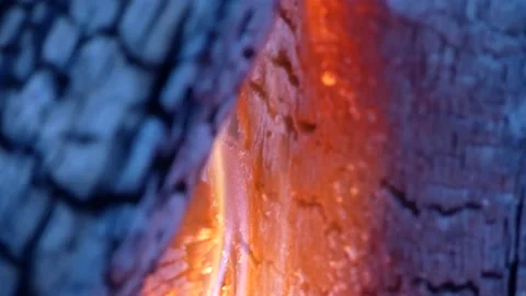 Campfire 4k, Flames Dance on Glowing Wood Fire, Focus Play Stock Footage 150599504