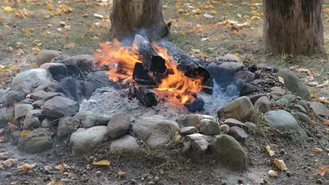 Campfire 4K Stock Footage 140827380