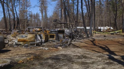 Campfire aftermath Stock-Footage 107446395