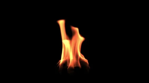 Campfire with alpha Video stock 7527627
