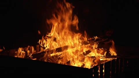 Campfire with Ambient Sounds Stock Footage 310861802