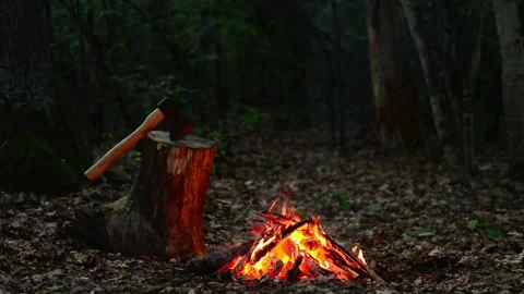 Campfire and Axe in Forest Seamless Loop with ASMR Sound Stock Footage 344951112