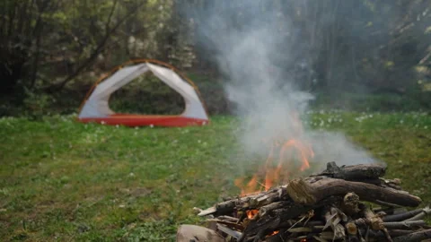 Campfire and camping tent in spring forest. Calm bonfire burning in tourist camp Stock Footage 271627497