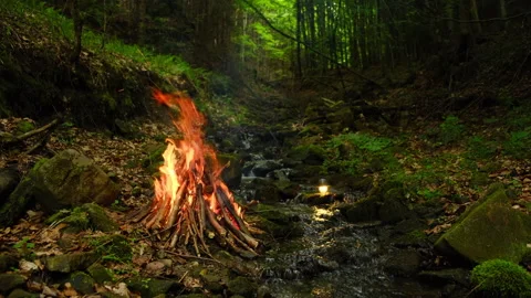 Campfire and forest small stream. Calm bonfire, burning old wood in autumn time Stock Footage 331567134