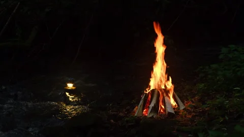 Campfire and mountain stream at twilight surrounded by wilderness and nature Stock Footage 331356385