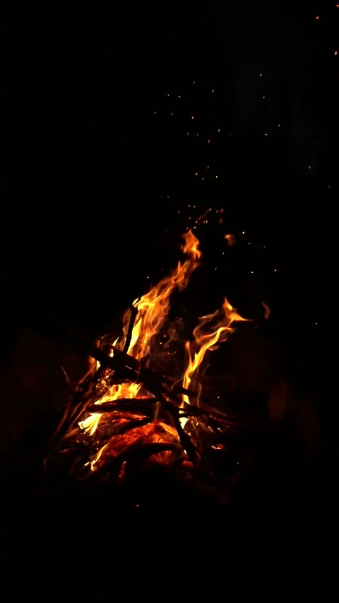 Campfire And Sparks At Night Stock Footage 230091789