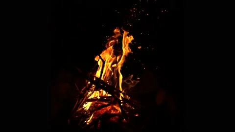 Campfire And Sparks At Night Stock Footage 230146675