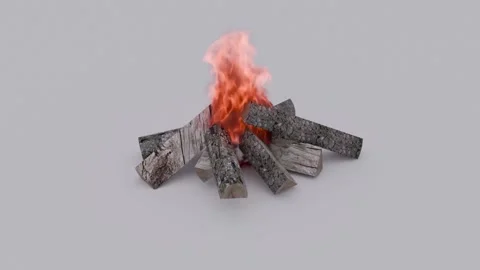 Campfire animation with camera rotating around Stock Footage 293539356