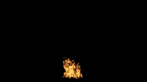 Campfire animation Stock Footage 69860059