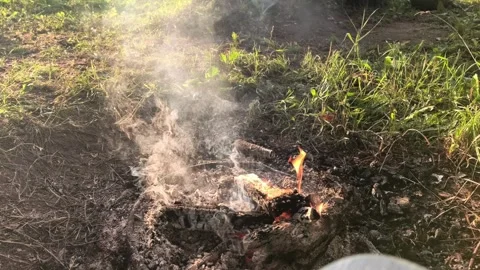 Campfire ashes cover a small area in the woods during a sunny day 動画素材 339349588
