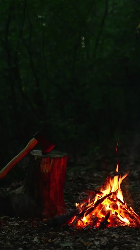 Campfire with Axe in Dark Forest Seamless Loop with ASMR Sound Stock Footage 344951131