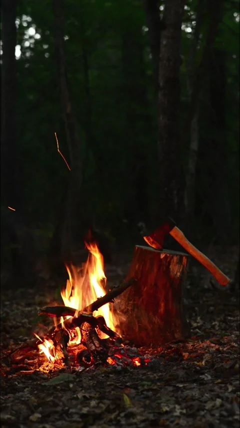 Campfire with Axe in Forest Seamless Loop with ASMR Sound Stock Footage 344951229