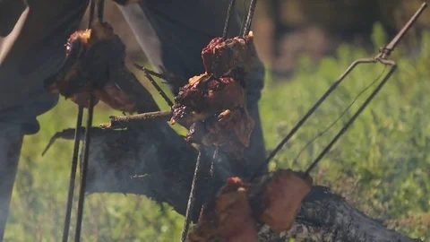 Campfire barbecue Stock Footage 82082481