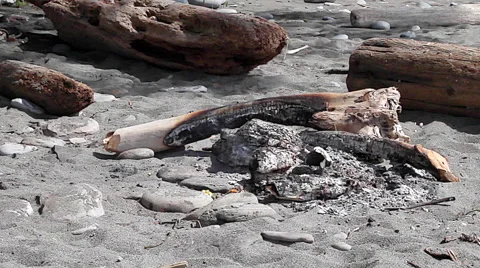 Campfire on a Beach (3174) Video stock 49284704