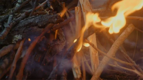Campfire beginning to burn Stock Footage 107450105