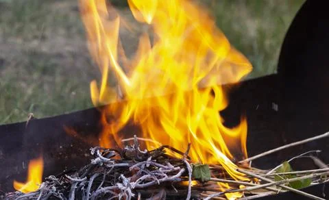Campfire with big orange flame burning in the evening Stock Photos