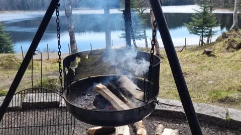 Campfire with birch tree log smoke and lake background Stock Footage 310900756