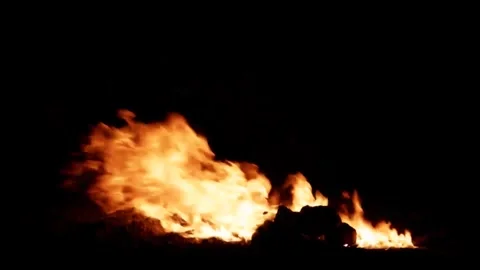Campfire Blazing Flames Burning on Black Background Stock Footage 340675970