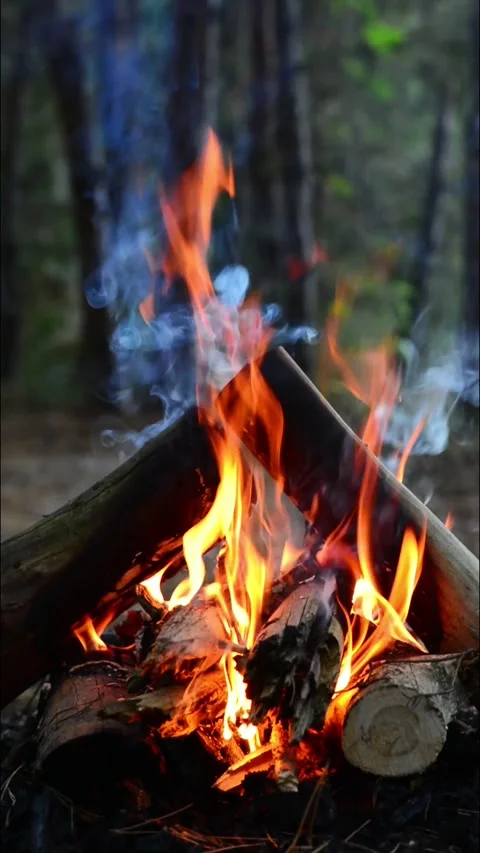 Campfire blazing in the forest with bright flames and smoke close up 스톡 동영상 345121867