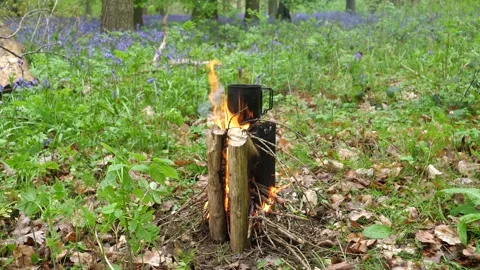 Campfire Boiling A Cup of Water. View of Campfire in the Woodland Forest. Stock Footage 306541484