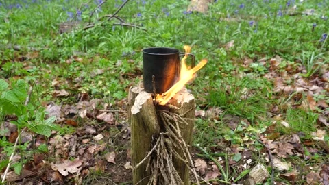 Campfire Boiling A Cup of Water. View of Campfire in the Woodland Forest. Stock Footage 306541508