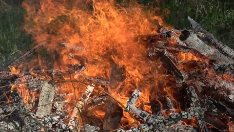 Campfire bonfire in spring Stock Footage 76271730