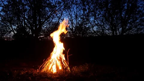 Campfire from branches on a background of trees Stock Footage 130153460