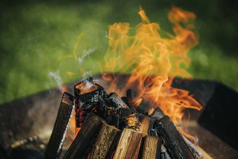 Campfire with bright flames and burning logs in a fire pit on green grass, .. Stock Photos