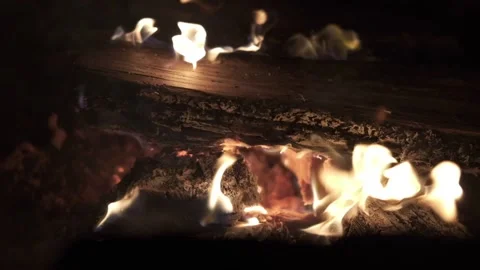 Campfire Burning in 120 FPS Slow Motion 動画素材 147001915
