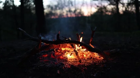 Campfire burning in the beautiful forest. Stock Footage 283488850