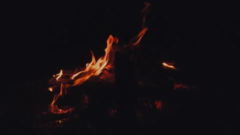 Campfire burning bright with dancing orange flames in pitch black night. Stock Footage 344994510