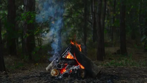 Campfire burning brightly in the forest with smoke and glowing embers 스톡 동영상 345121357