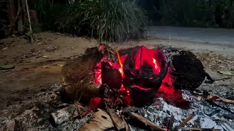 Campfire burning brightly at night Stock Footage 341683208