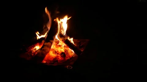 Campfire Burning Brightly at Night Video stock 344535026