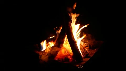 Campfire Burning Brightly at Night Vídeo Stock 344535027