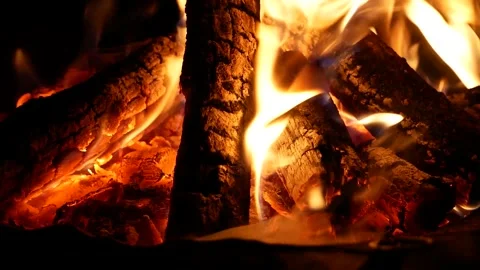 Campfire Burning Brightly at Night Video stock 344535136