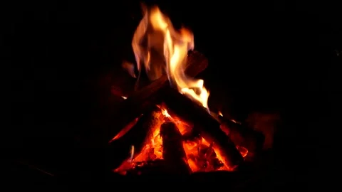 Campfire Burning Brightly at Night Video stock 344535180